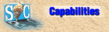 Capabilities